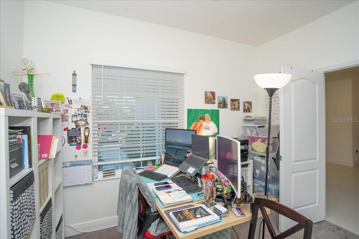 3514 SHIMMERING OAKS DR, PARRISH, FL, 34219