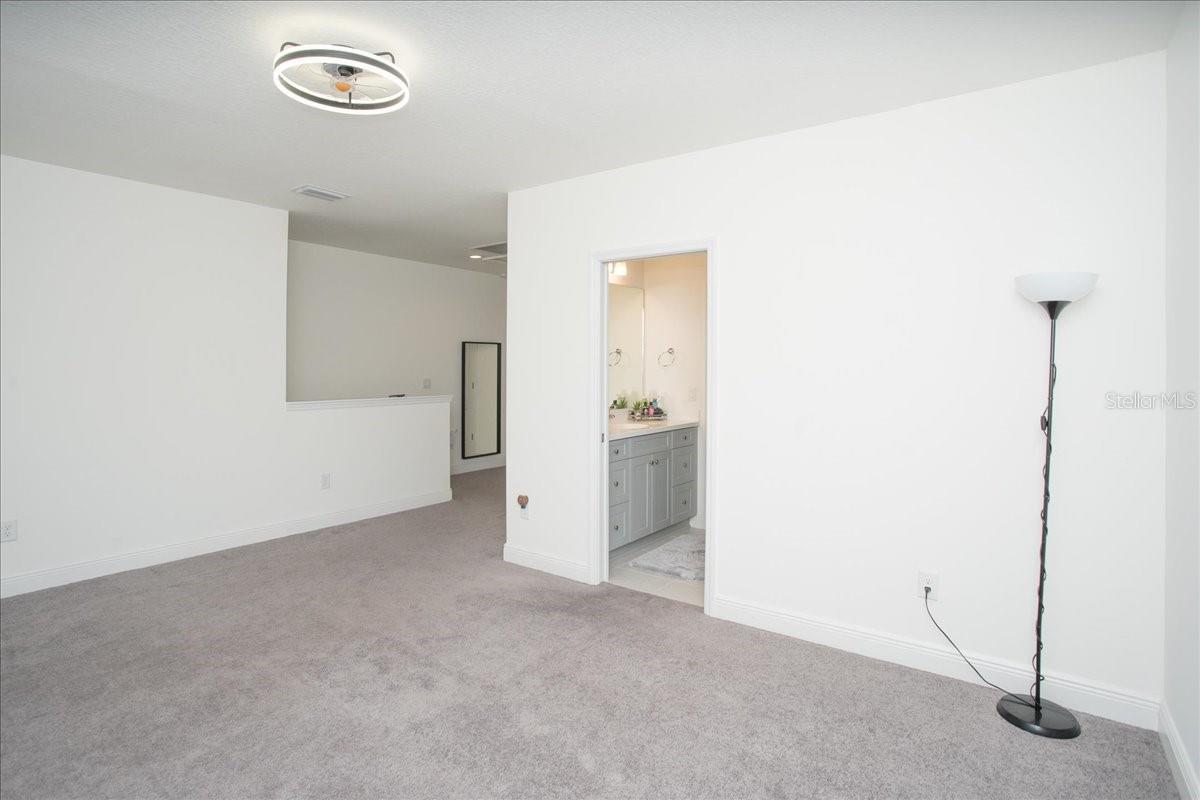 3514 SHIMMERING OAKS DR, PARRISH, FL, 34219