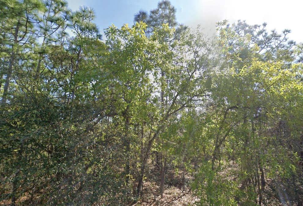 7343 S RIDGE PT, HOMOSASSA, FL, 34446