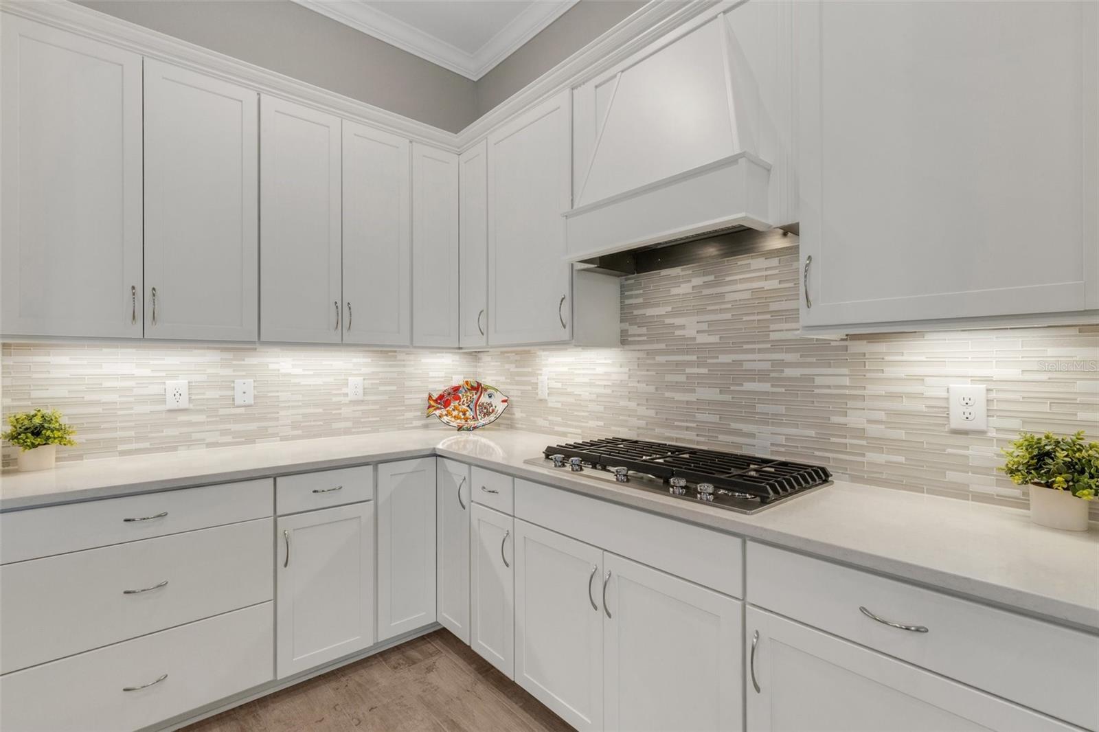 6260 TALON PRESERVE DR, NOKOMIS, FL, 34275