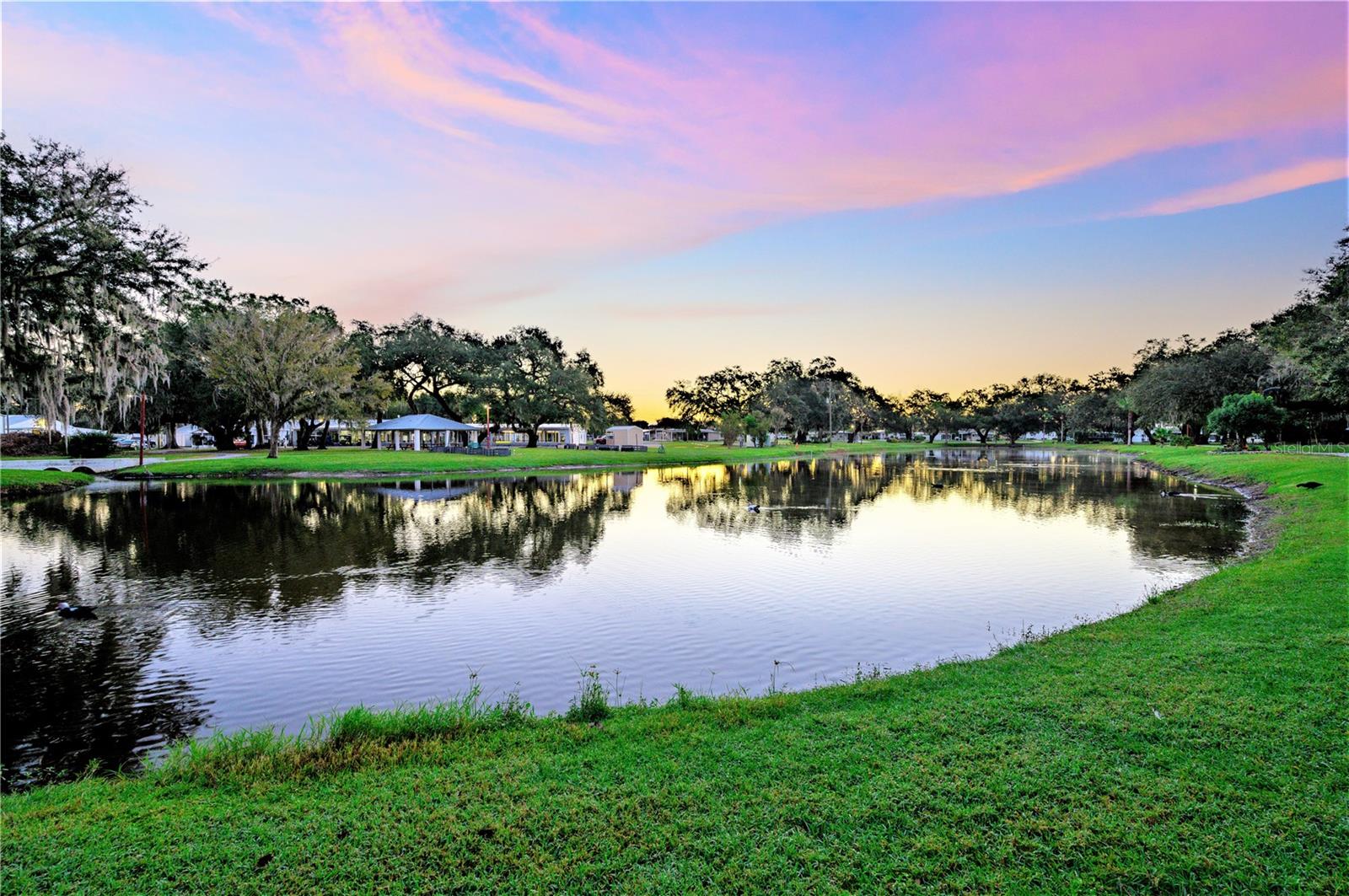 37318 LOIS AVE, ZEPHYRHILLS, FL, 33542