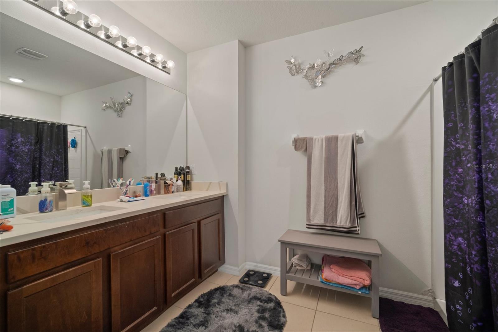 16815 TRITE BEND ST, WIMAUMA, FL, 33598