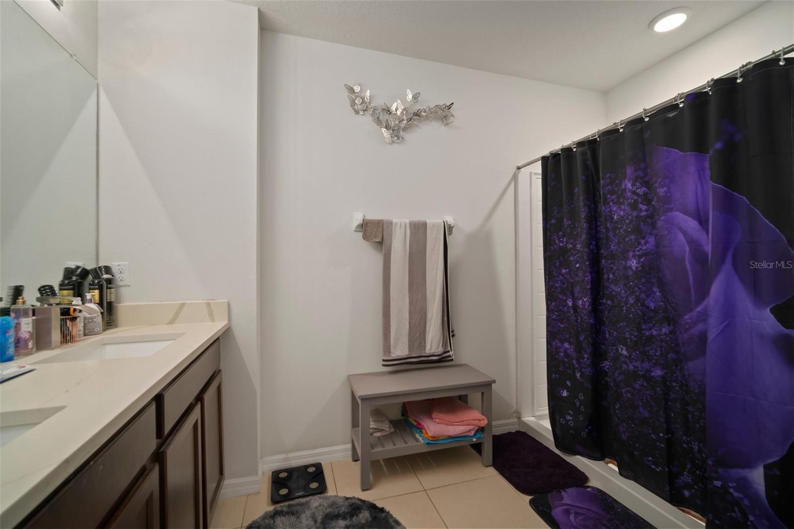 16815 TRITE BEND ST, WIMAUMA, FL, 33598