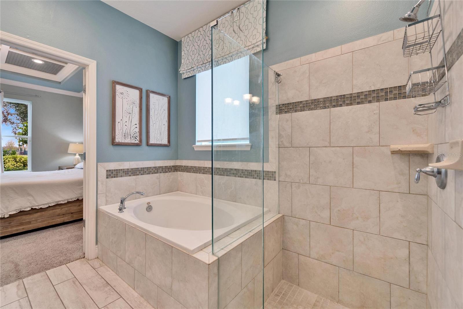 13316 PALMERA VISTA DR, RIVERVIEW, FL, 33579