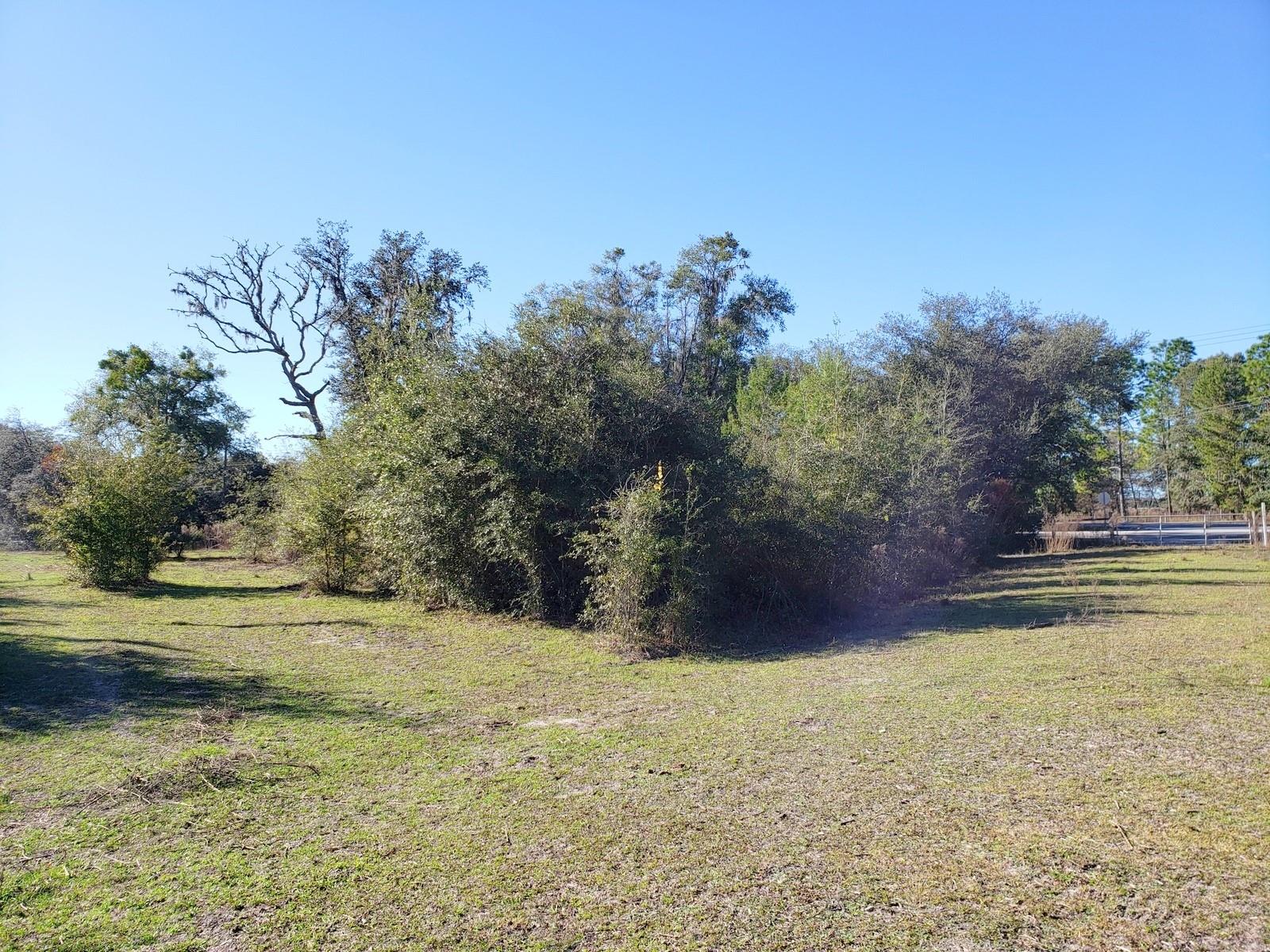 13ac & 11ac HWY 315, FORT MC COY, FL, 32134