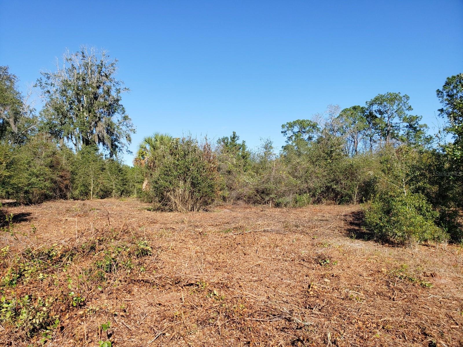 13ac & 11ac HWY 315, FORT MC COY, FL, 32134