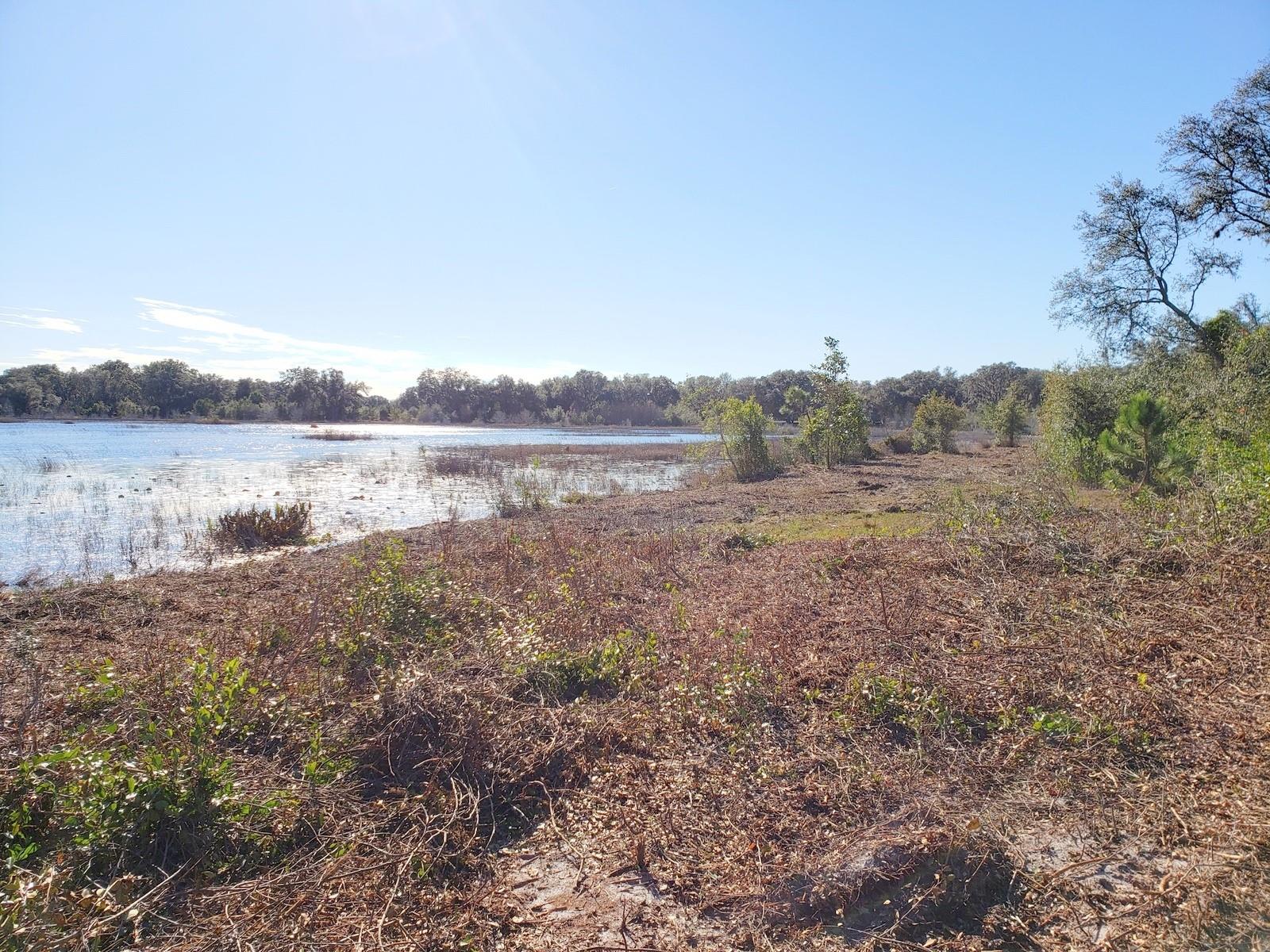 13ac & 11ac HWY 315, FORT MC COY, FL, 32134