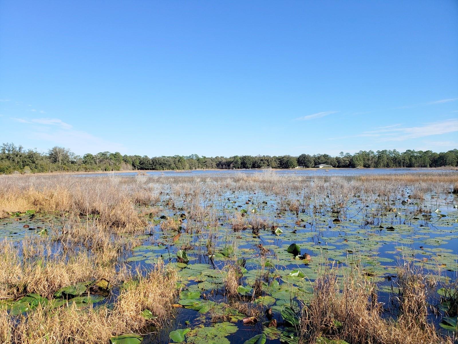 13ac & 11ac HWY 315, FORT MC COY, FL, 32134