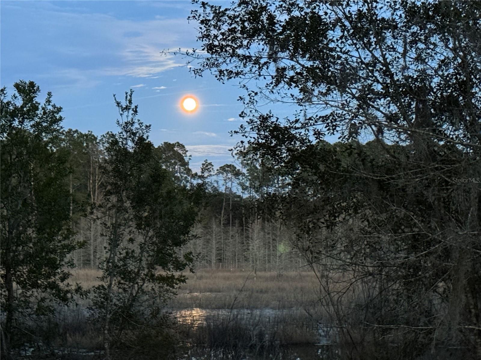 13ac & 11ac HWY 315, FORT MC COY, FL, 32134