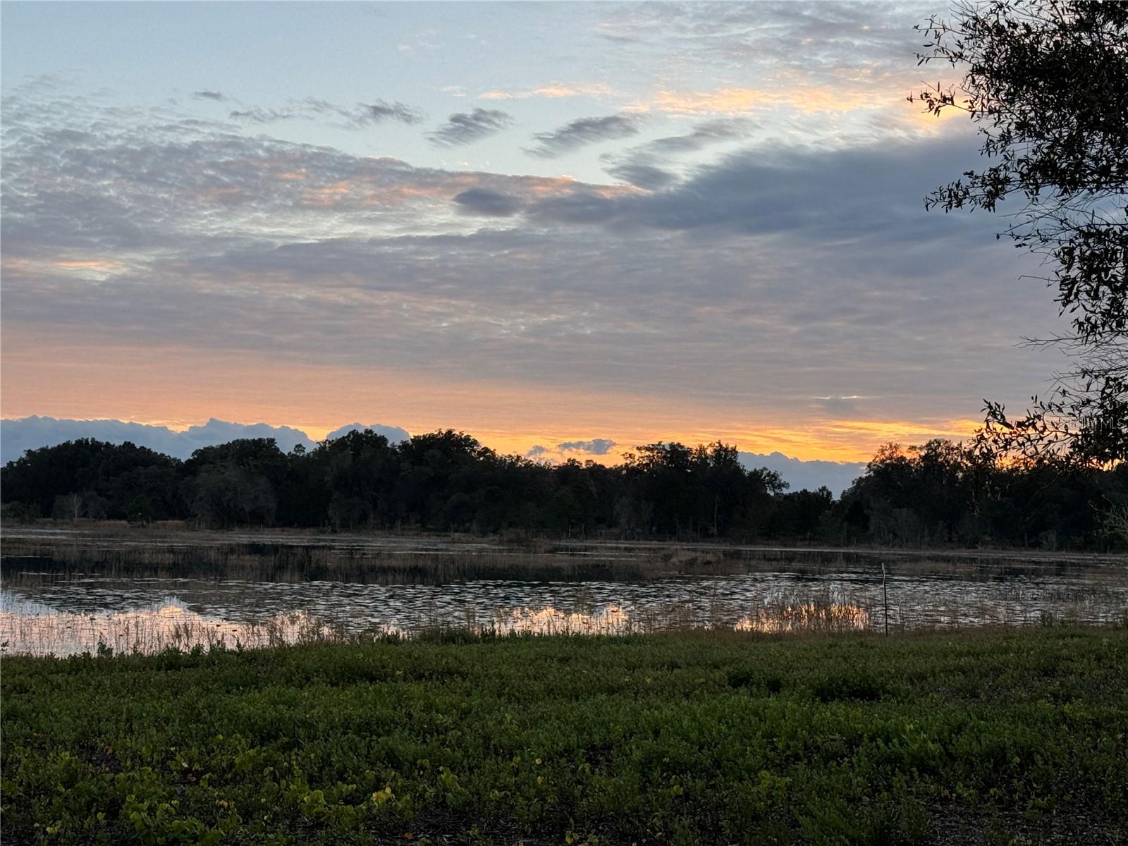 13ac & 11ac HWY 315, FORT MC COY, FL, 32134