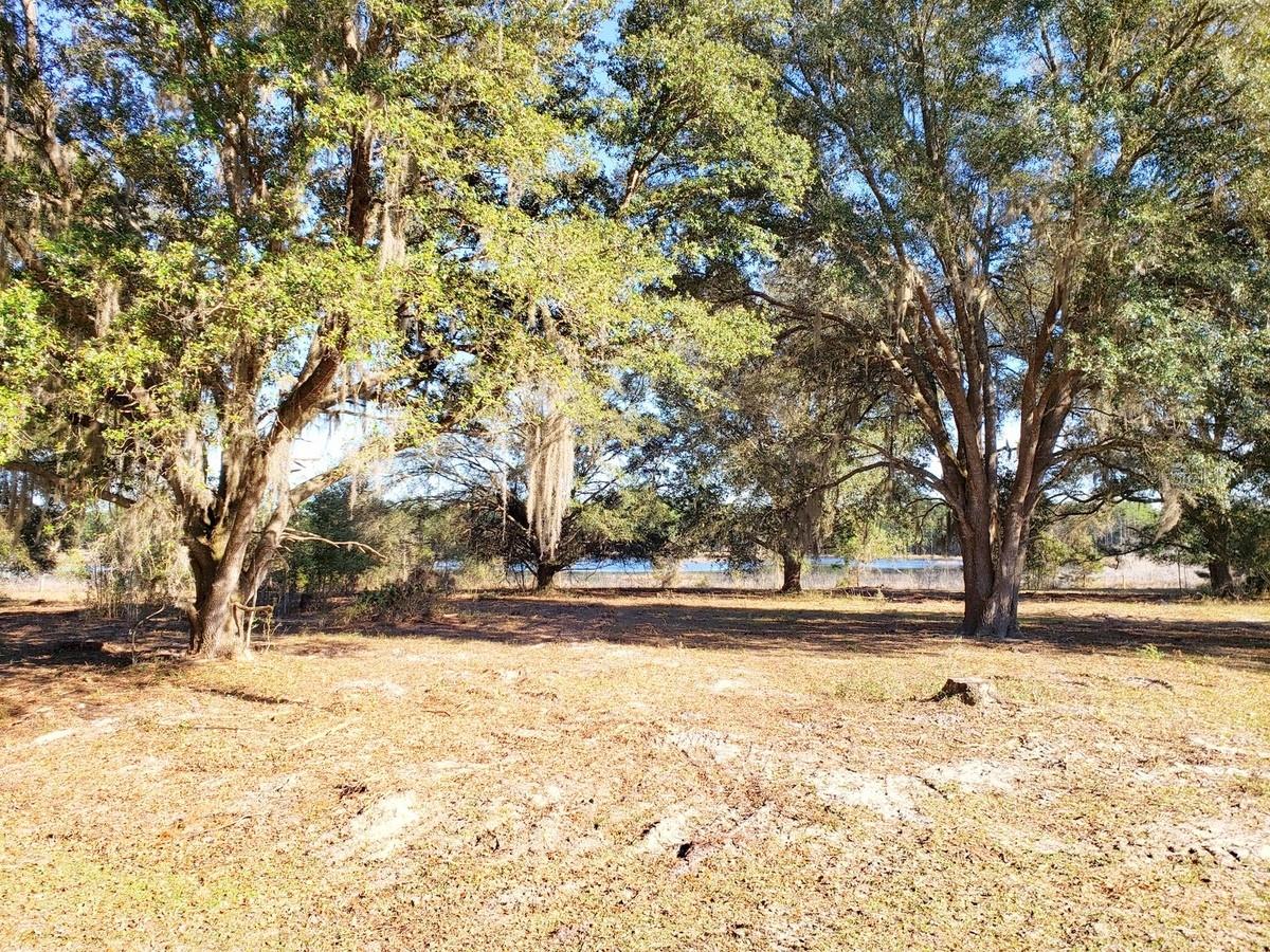 13ac & 11ac HWY 315, FORT MC COY, FL, 32134