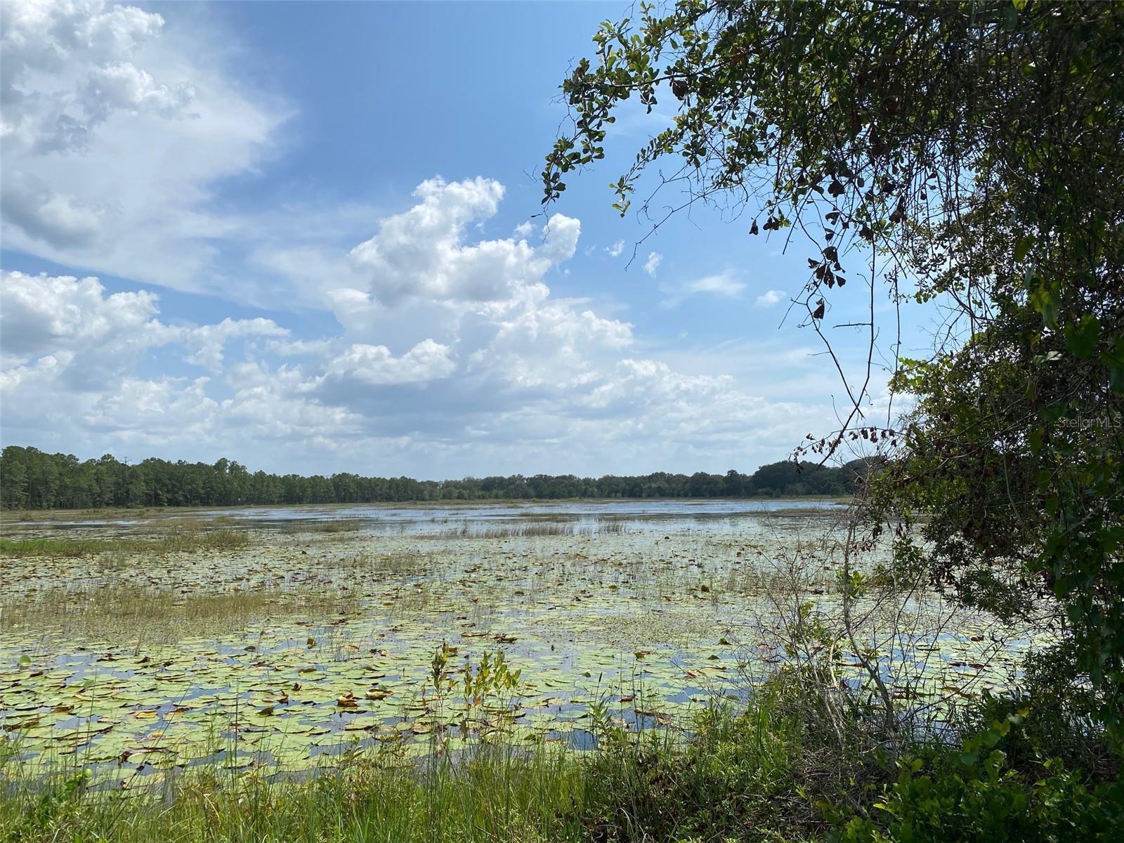 13ac & 11ac HWY 315, FORT MC COY, FL, 32134