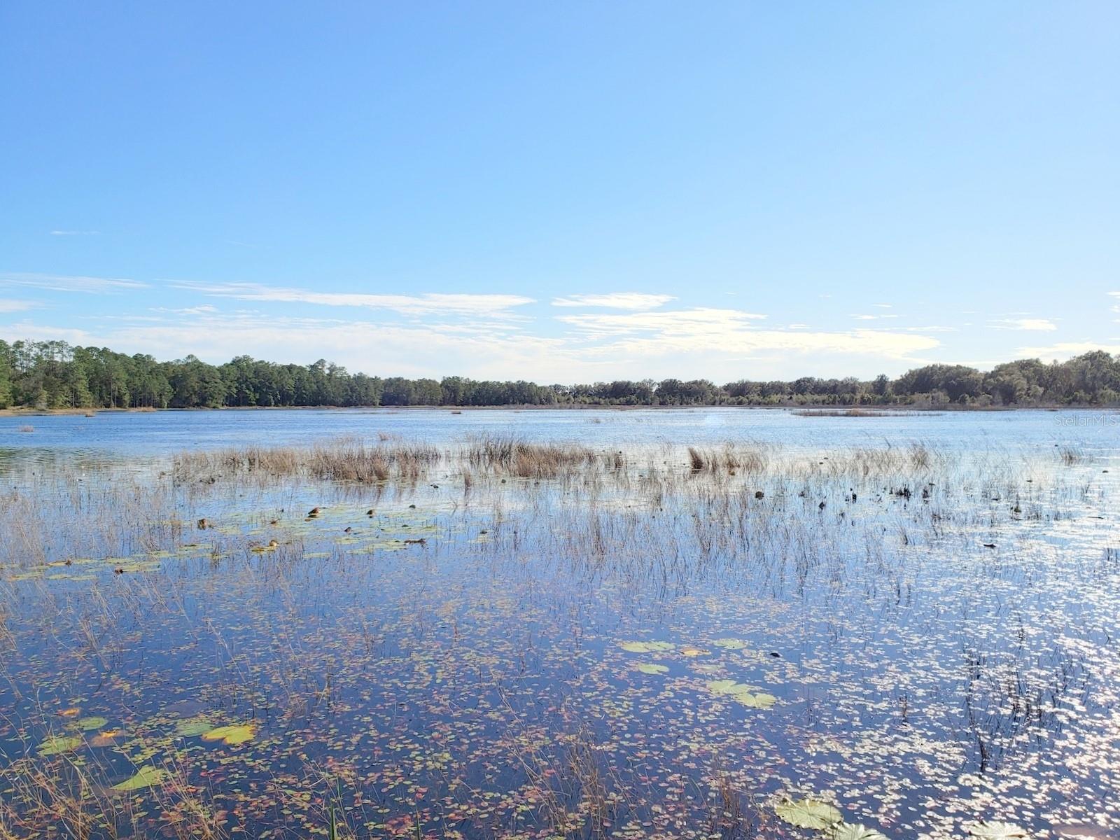 13ac & 11ac HWY 315, FORT MC COY, FL, 32134