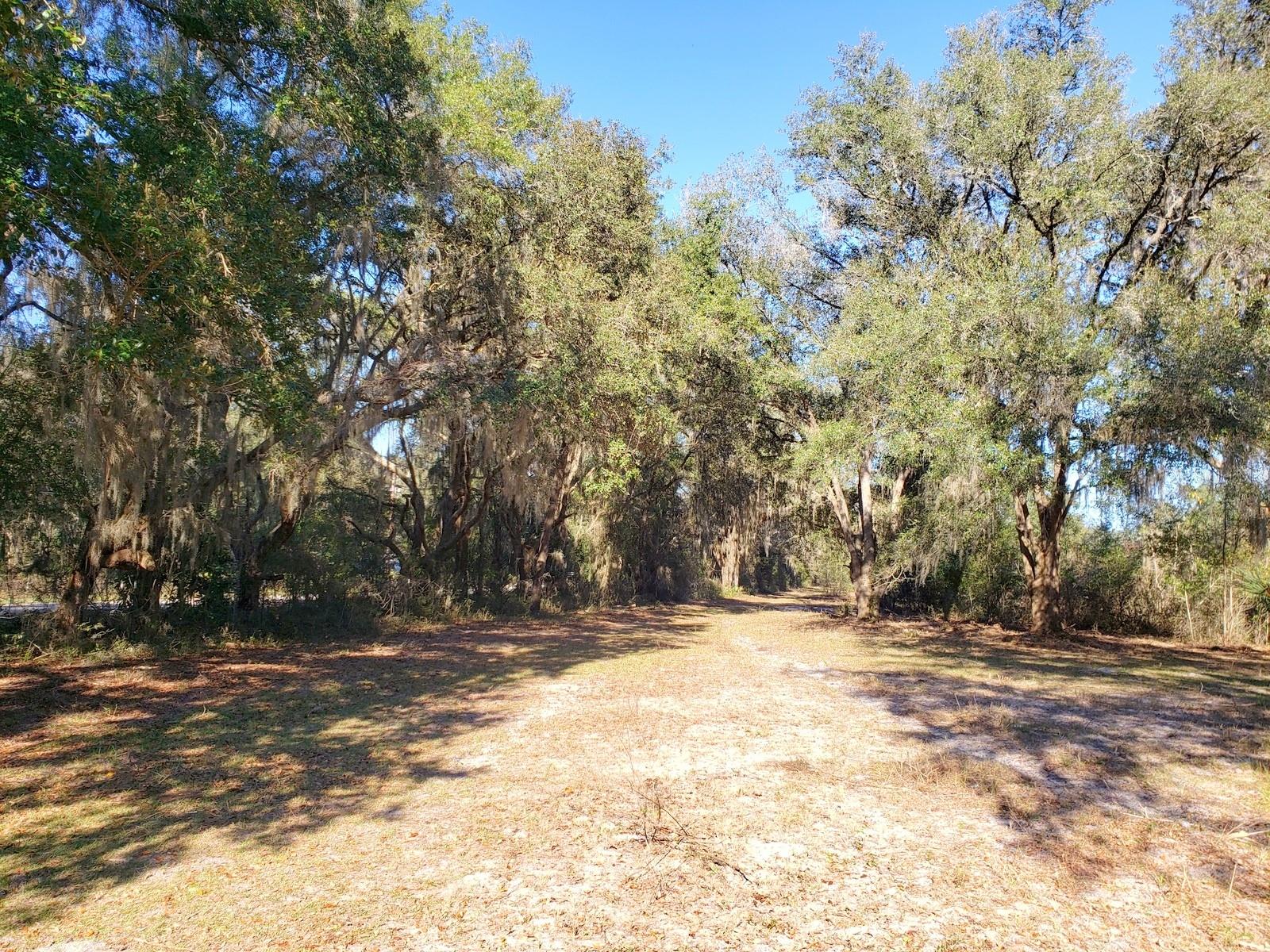 13ac & 11ac HWY 315, FORT MC COY, FL, 32134