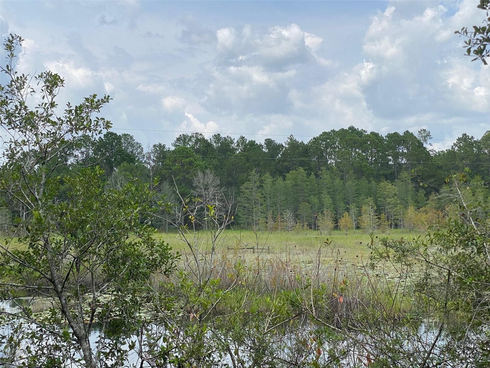 13ac & 11ac HWY 315, FORT MC COY, FL, 32134