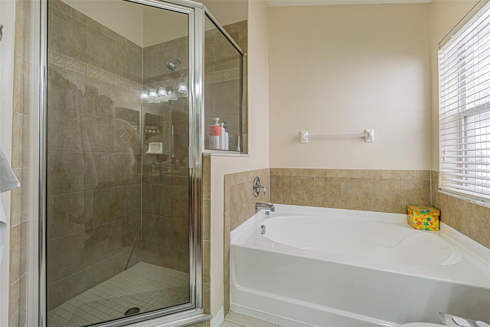 2921 TRINITY COTTAGE DR, LAND O LAKES, FL, 34638