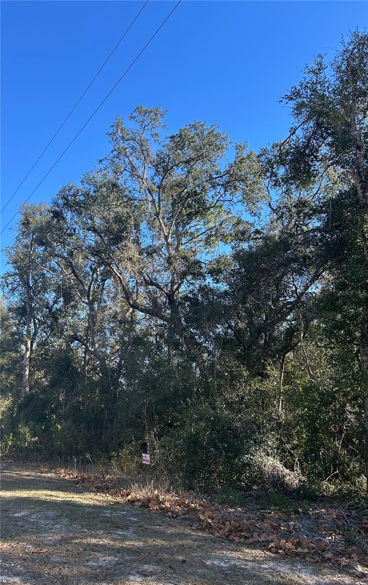 SE 18 ST, SILVER SPRINGS, FL, 34488