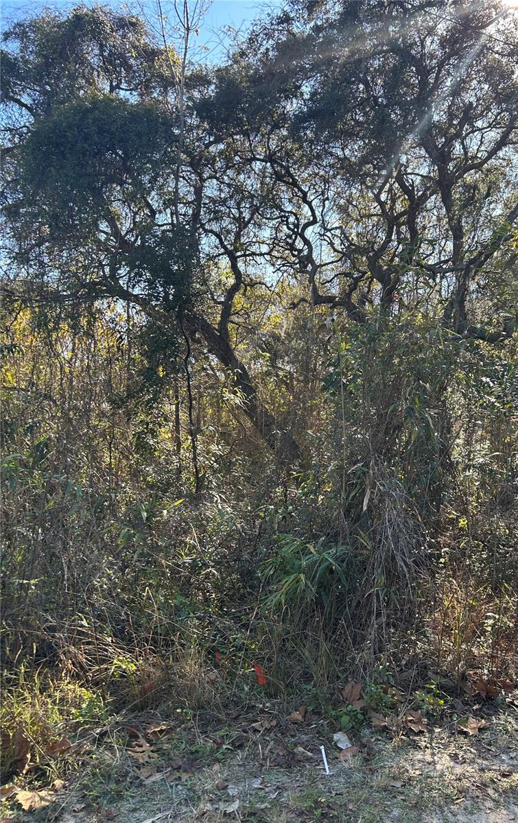 SE 18 ST, SILVER SPRINGS, FL, 34488