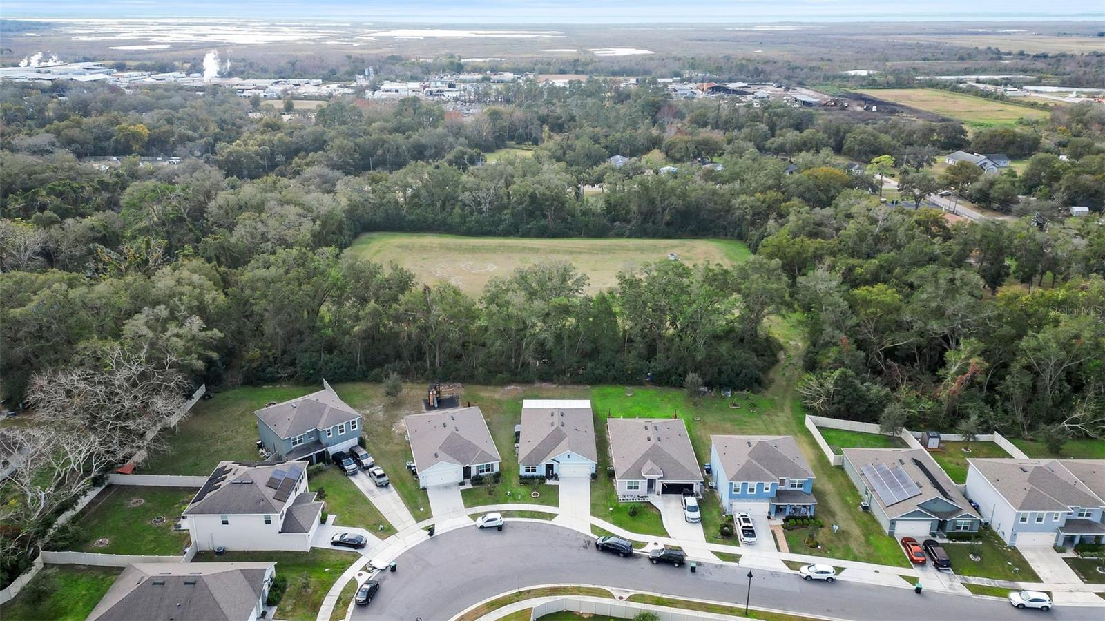3627 CRIMSON CLOVER DR, MOUNT DORA, FL, 32757