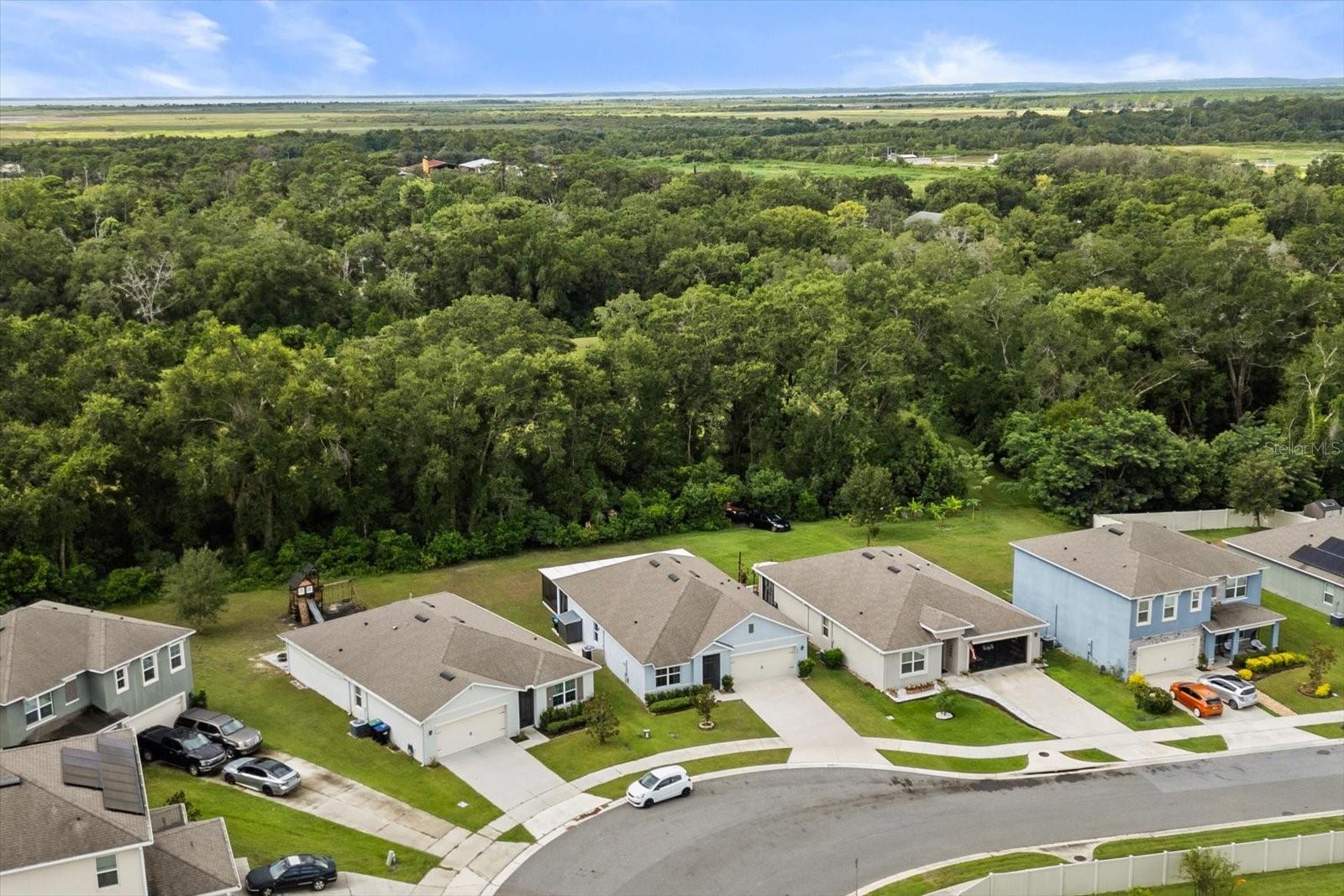 3627 CRIMSON CLOVER DR, MOUNT DORA, FL, 32757