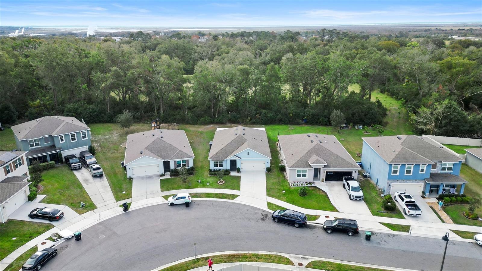 3627 CRIMSON CLOVER DR, MOUNT DORA, FL, 32757