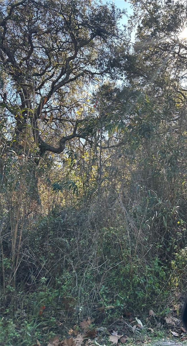 SE 19 ST, SILVER SPRINGS, FL, 34488
