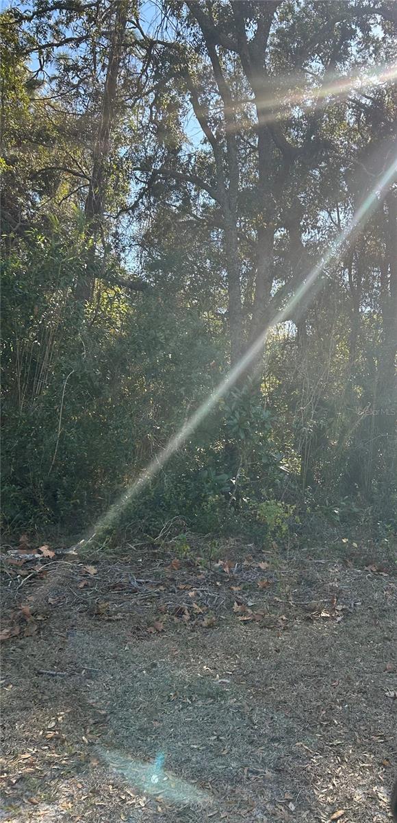 SE 19 ST, SILVER SPRINGS, FL, 34488