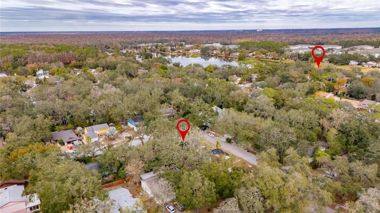 14712 LAUREL LAKE LN, LUTZ, FL, 33559