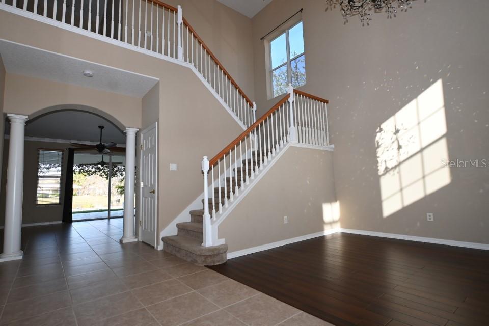18057 JAVA ISLE DR, TAMPA, FL, 33647