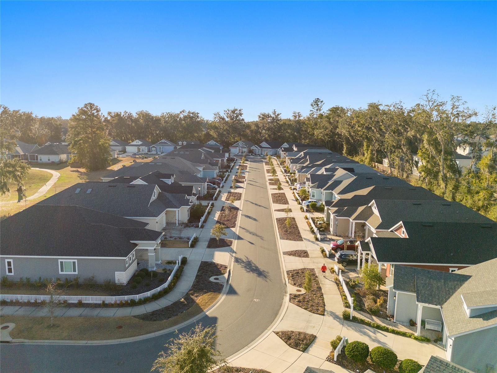 1041 NW 132ND BLVD, NEWBERRY, FL, 32669