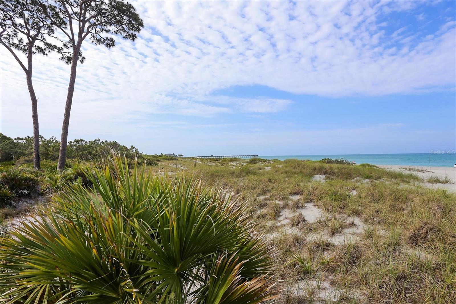 19807 BRIDGETOWN LOOP, VENICE, FL, 34293