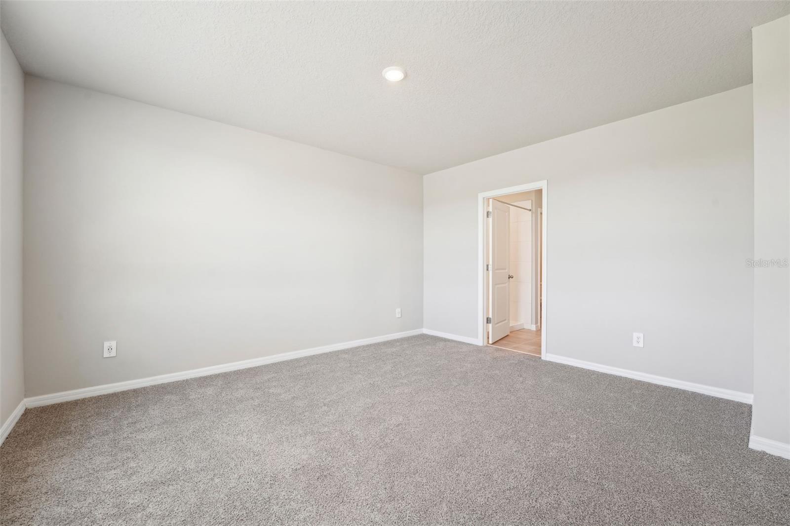 3912 RADIANT MOUNTAIN DR, PLANT CITY, FL, 33565