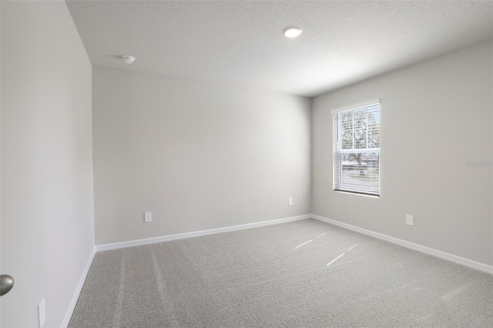 2318 E NEWSOME RD, PLANT CITY, FL, 33565