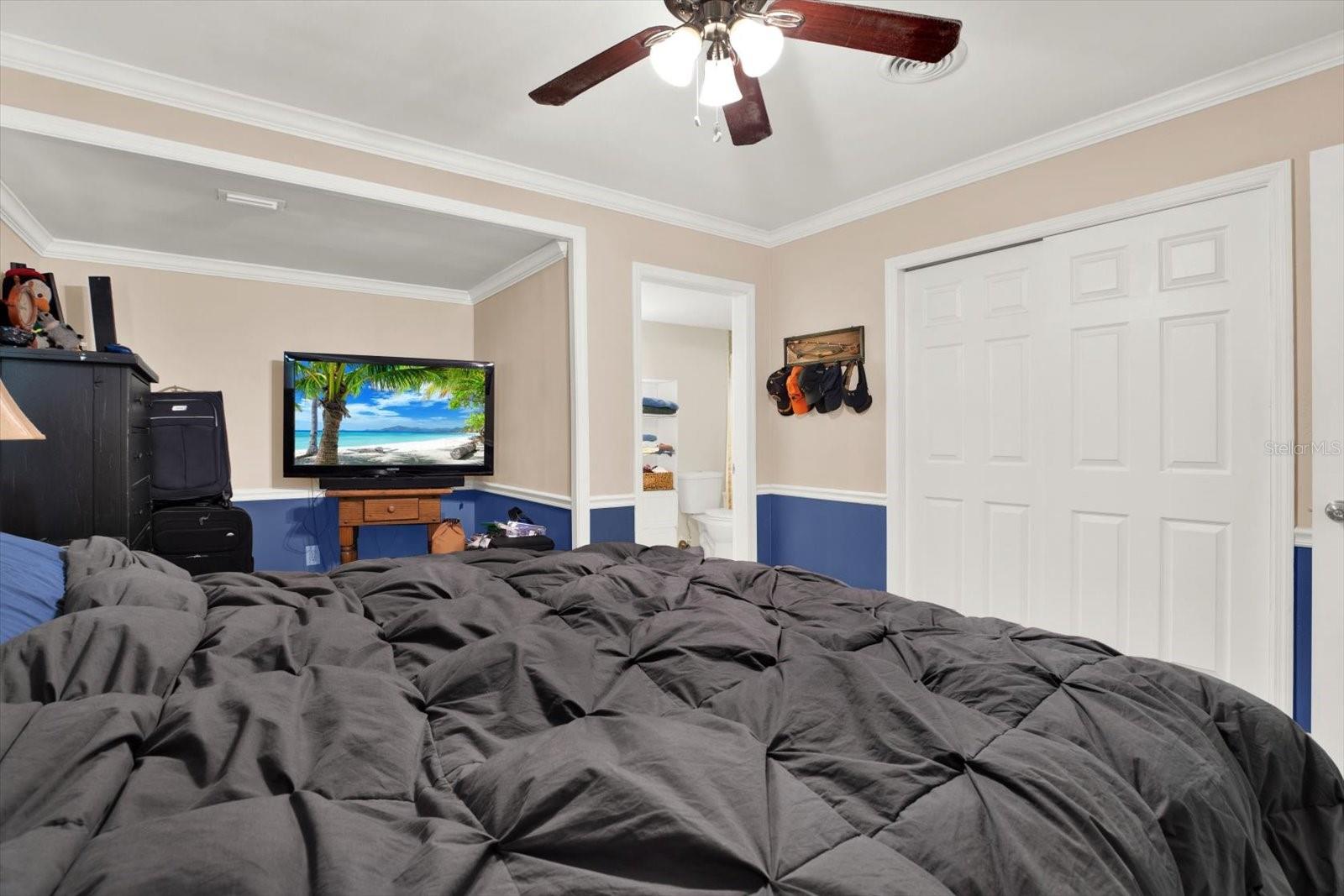 809 AUDUBON ST, CLEARWATER, FL, 33764