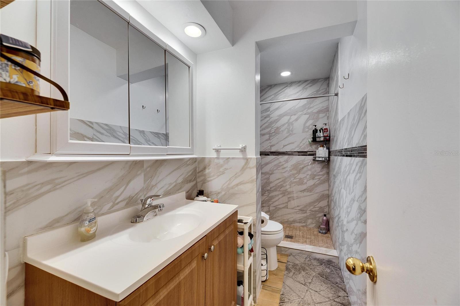 4250 37TH ST S #5, ST PETERSBURG, FL, 33711