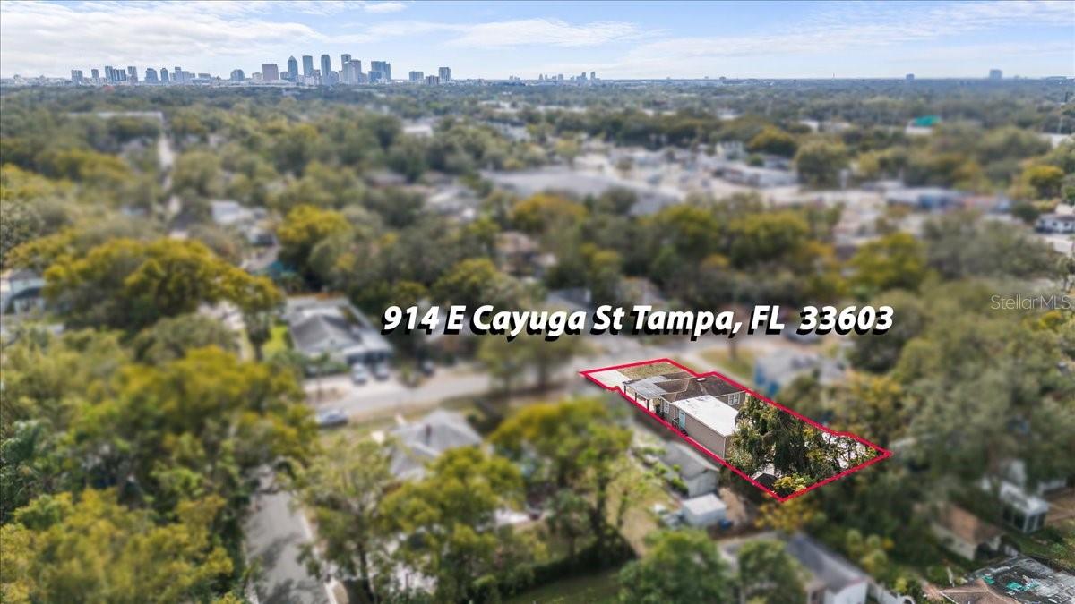 914 E CAYUGA ST, TAMPA, FL, 33603