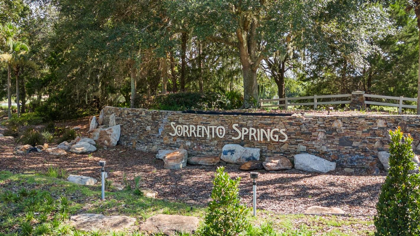 33931 TERRAGONA DR, SORRENTO, FL, 32776