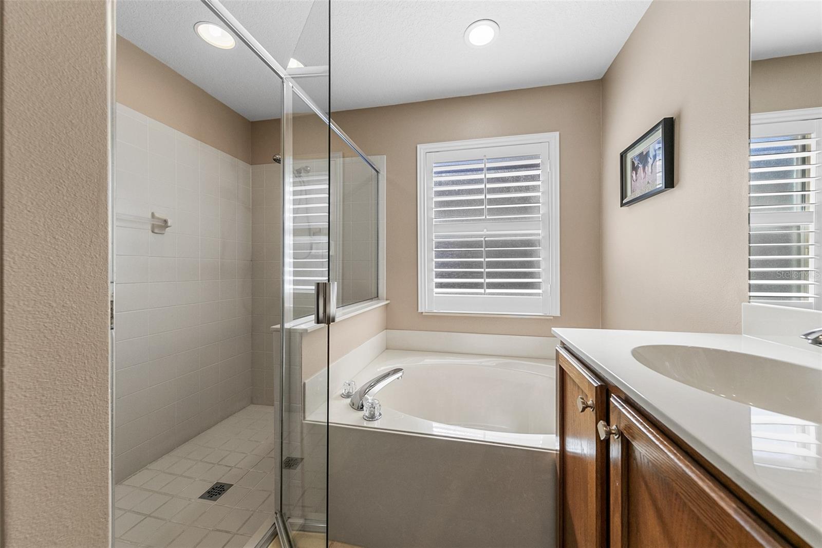 33931 TERRAGONA DR, SORRENTO, FL, 32776