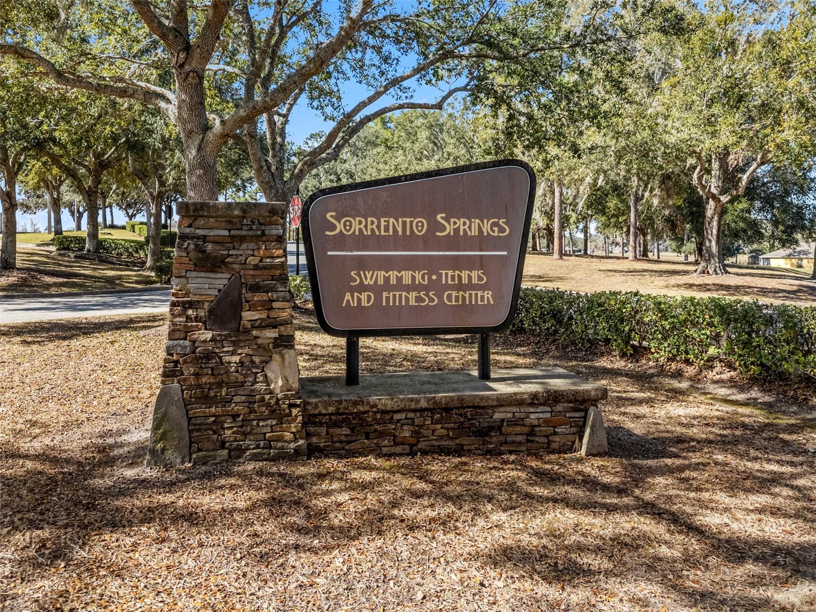 33931 TERRAGONA DR, SORRENTO, FL, 32776