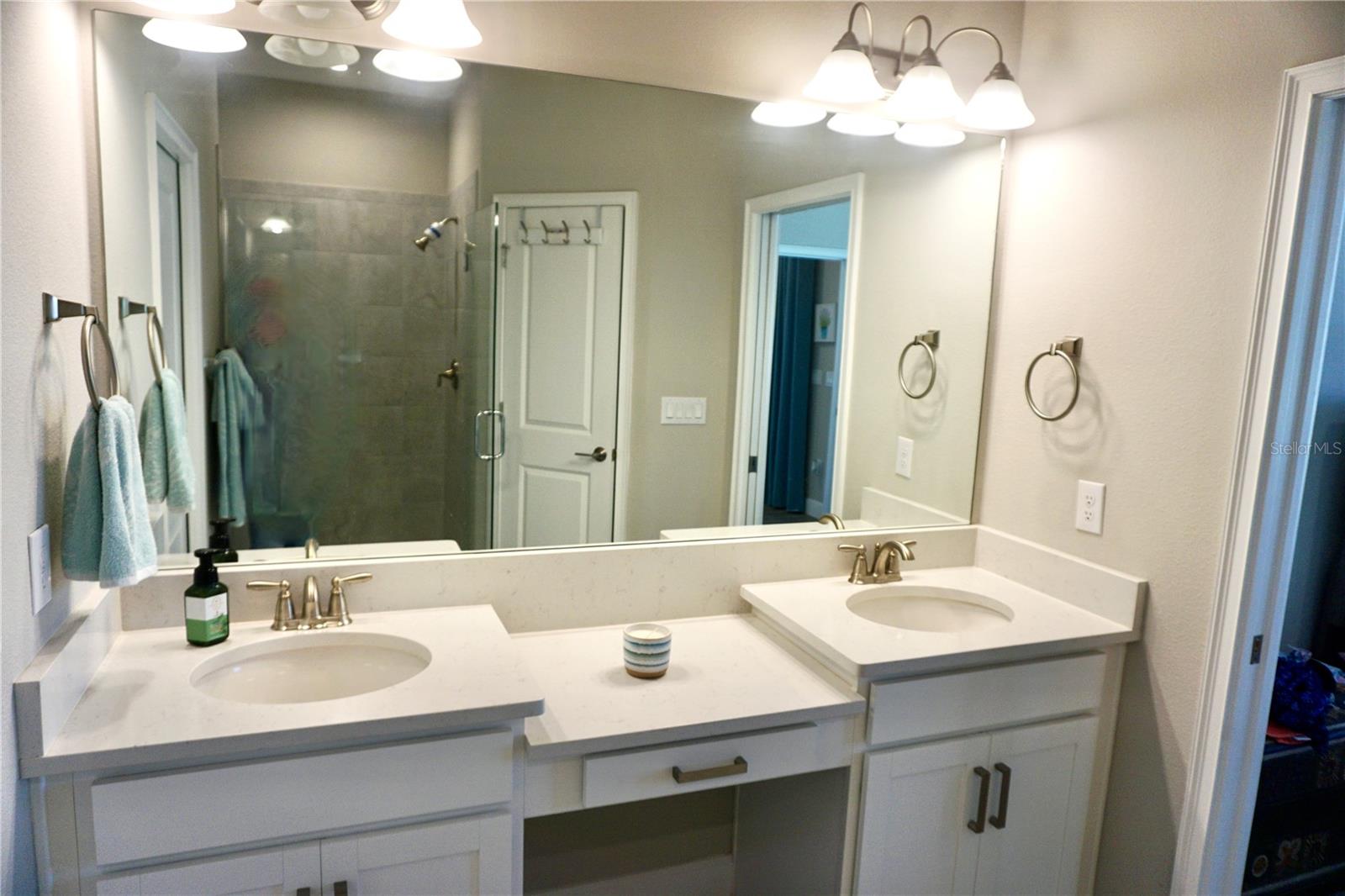 5426 RUSHMERE CT, PALMETTO, FL, 34221