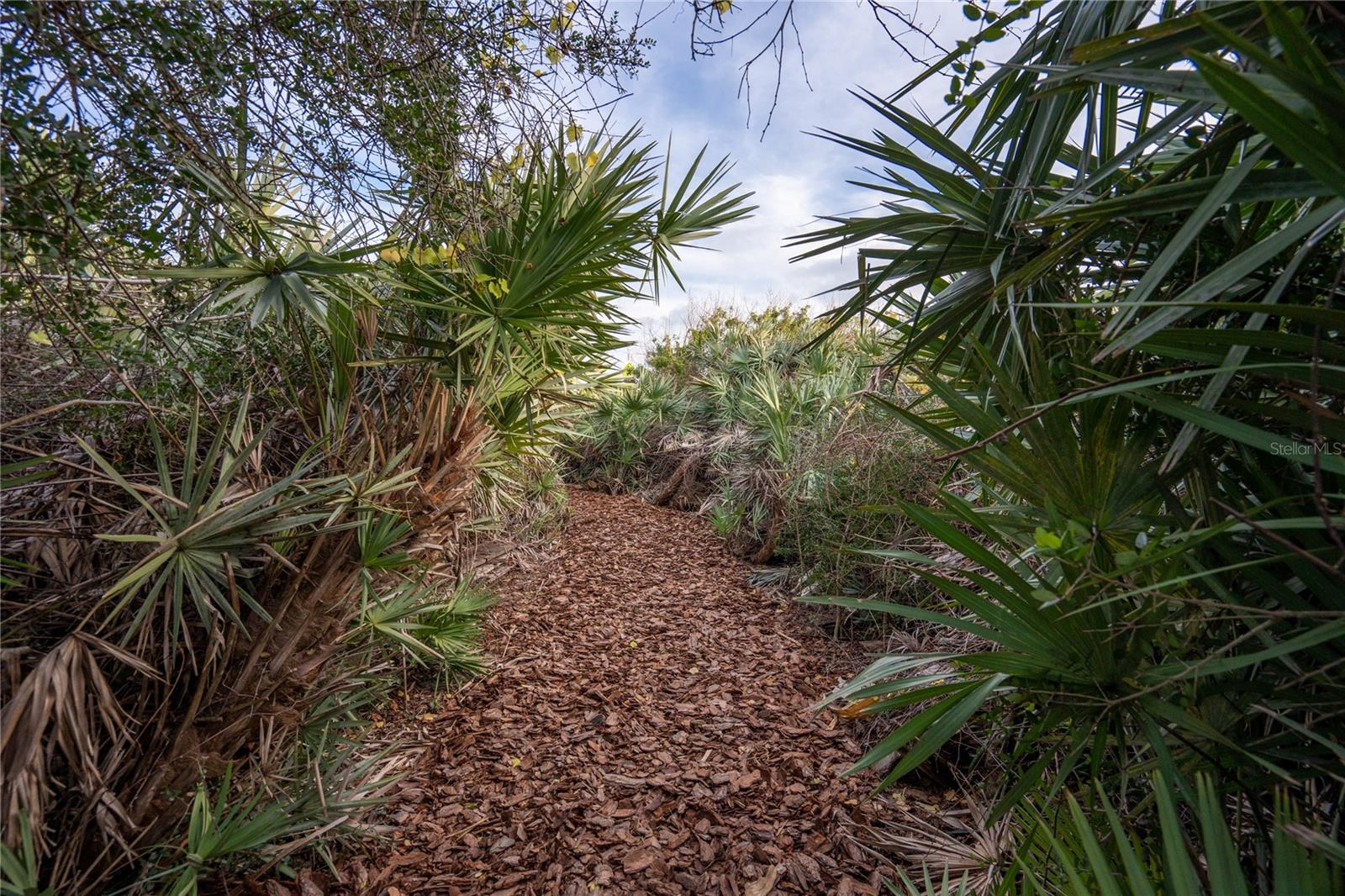 3079 PAINTERS WALK, FLAGLER BEACH, FL, 32136