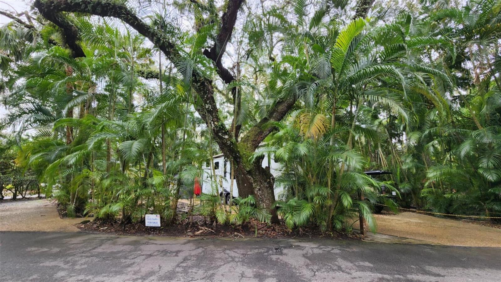 308 BEAR TRL, RIVER RANCH, FL, 33867