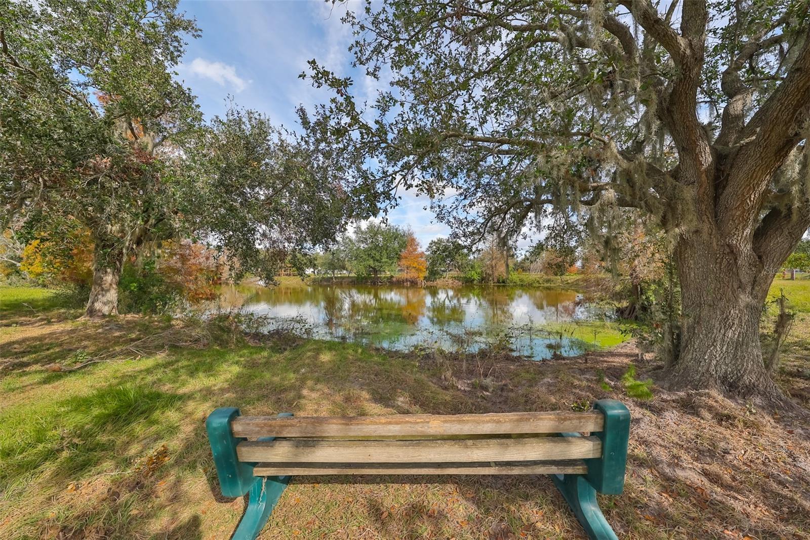 15624 CARLTON LAKE RD, WIMAUMA, FL, 33598