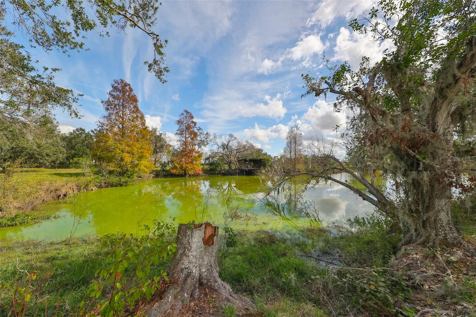 15624 CARLTON LAKE RD, WIMAUMA, FL, 33598