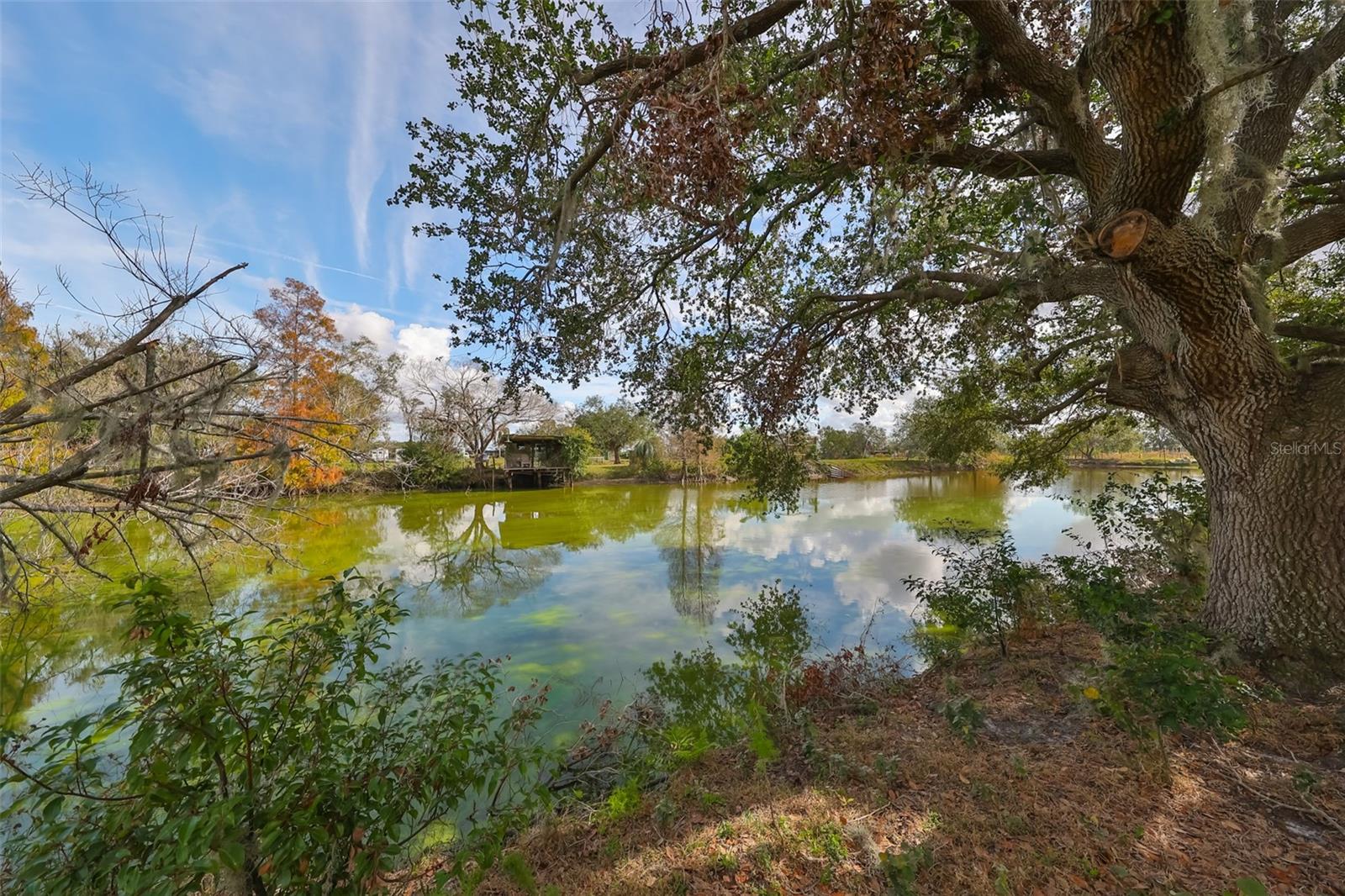 15624 CARLTON LAKE RD, WIMAUMA, FL, 33598