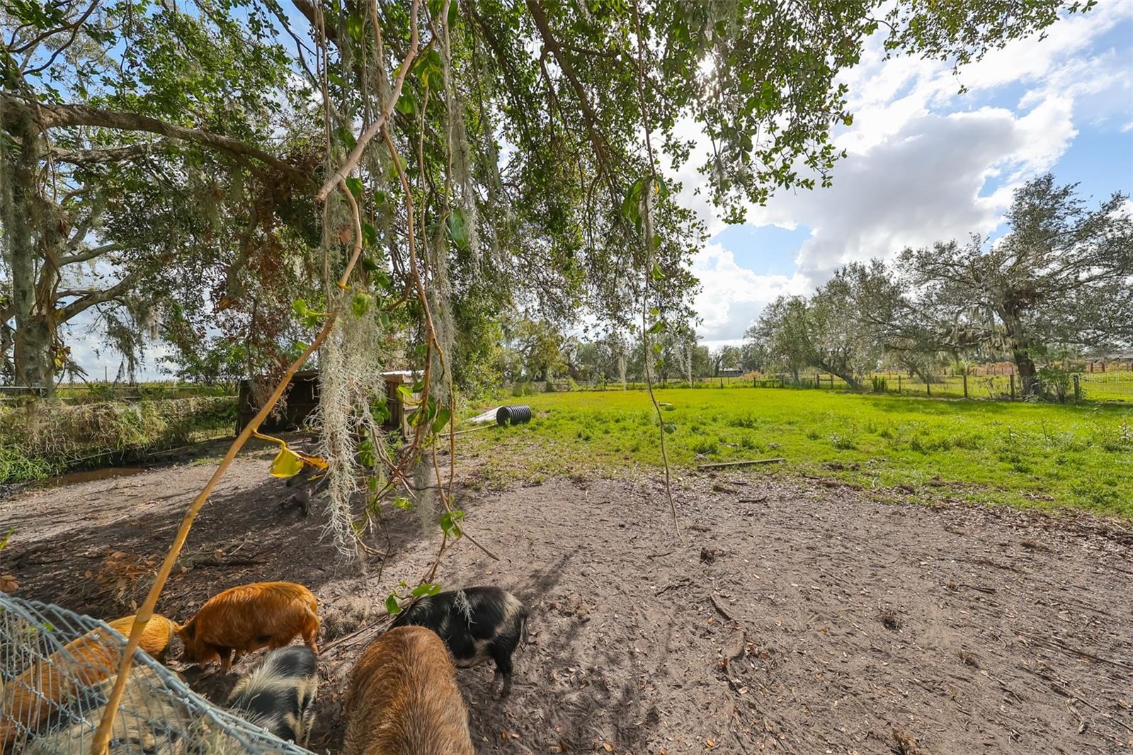 15624 CARLTON LAKE RD, WIMAUMA, FL, 33598