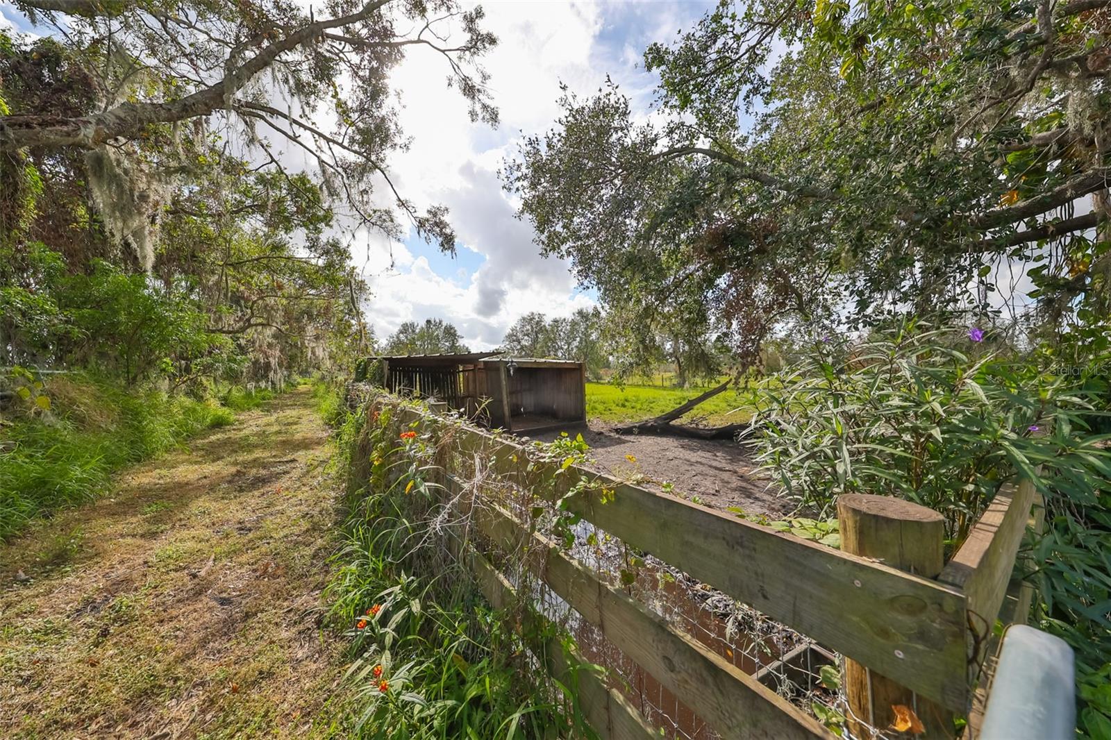 15624 CARLTON LAKE RD, WIMAUMA, FL, 33598