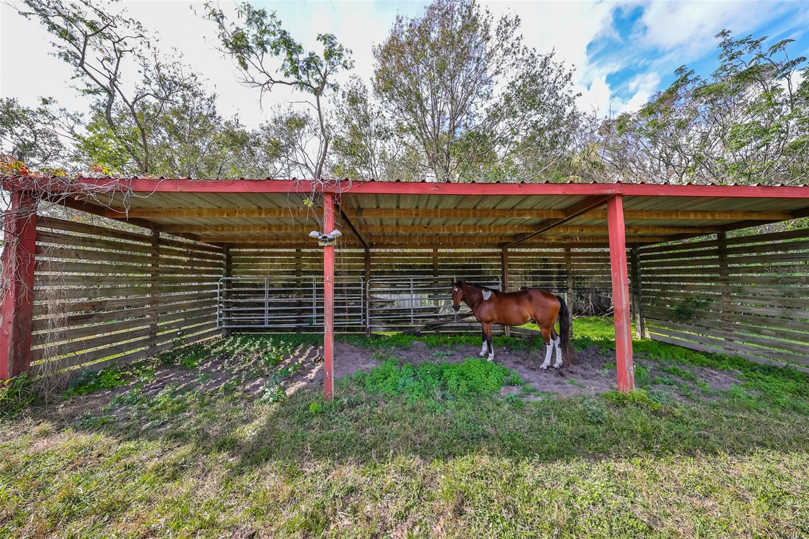 15624 CARLTON LAKE RD, WIMAUMA, FL, 33598