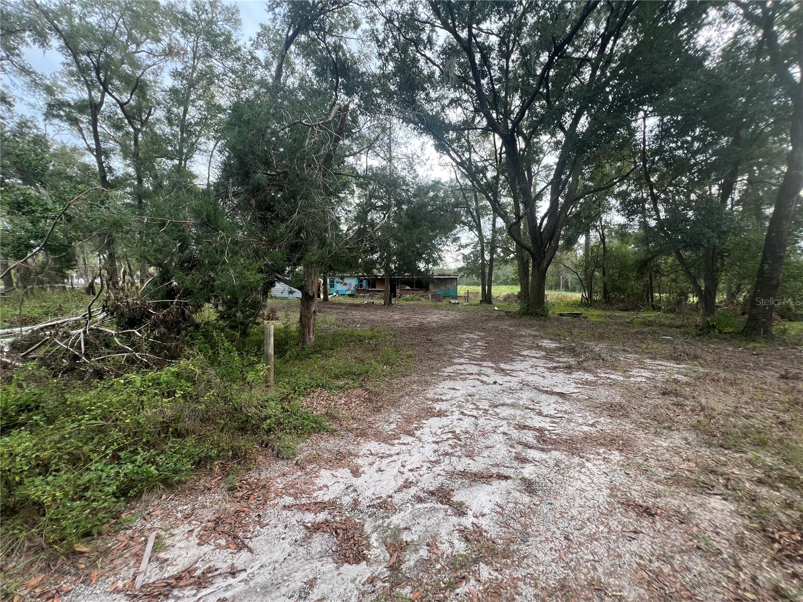 14594 SW SR45 RD, ARCHER, FL, 32618