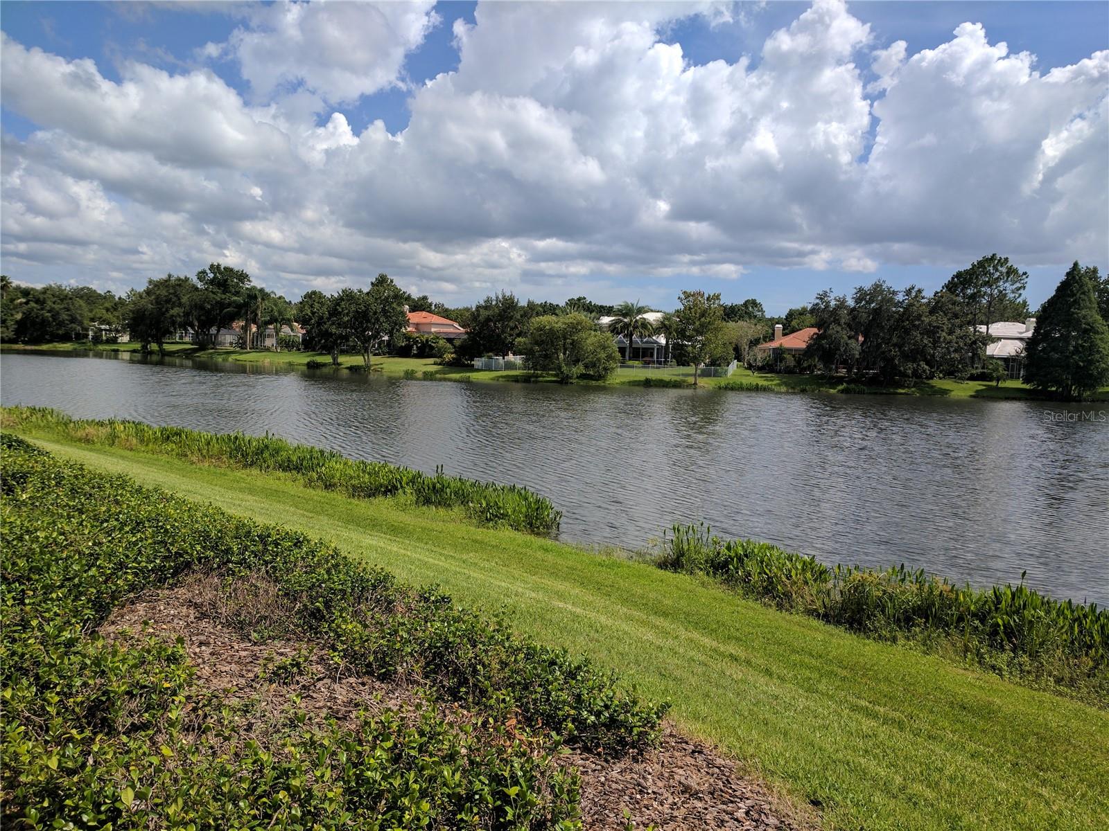 9144 HIGHLAND RIDGE WAY, TAMPA, FL, 33647